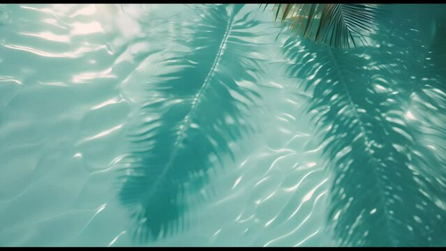 A body of water with a palm tree in the foreground