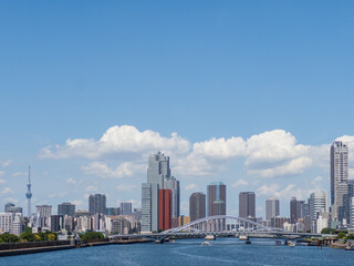 Fototapeta premium 東京の都市風景