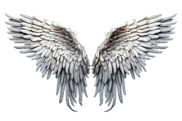 Obraz premium Ethereal Wings Dancing in the Light on a Clear PNG or White Background.