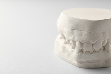 Dental model with gums on light grey background, closeup and space for text. Cast of teeth