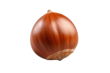 The Humble Onion: A Study in Simplicity and Depth on a Clear PNG or White Background.