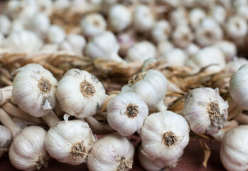 Garlic wreaths. Rich harvest.