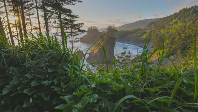 Secret Beach on the Oregon Pacific coast, United States. Gimbal shot of rock in the ocean with trees growing on it and sunset sun breaking through the fir trees. Lush green grass in the foreground