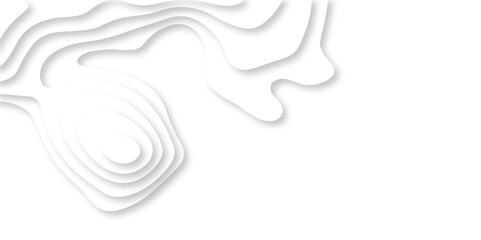 Luxury abstract lines Modern white carve wave line abstract luxury 3d papercut background. vector minimal topography map light element shadow landscape wave element curve graphic papercut design.