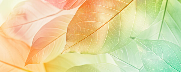 Leaf skeleton background. Abstract background in soft pastel colors with rengen amazing nature lines, nature concept.