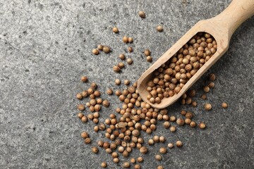 Scoop with dried coriander seeds on gray textured table, top view