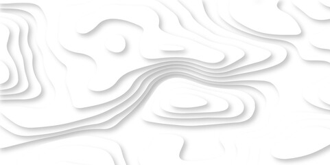 	
Luxury abstract lines Modern white carve wave line abstract luxury 3d papercut background. vector minimal topography map light element shadow landscape wave element curve graphic papercut design.