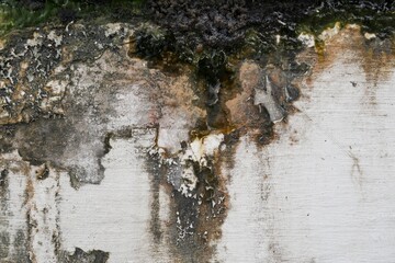 Wall surface suffering from humidity with cracked paint and mold, damage to damp wall
