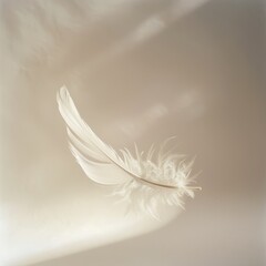 Fototapeta premium single white feather suspended in mid-air against a backdrop of soft, diffuse light. The feather, delicately illuminated, symbolizes the purity and ethereal nature of oxygen.