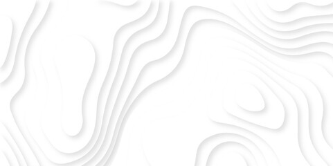 Luxury abstract lines Modern white carve wave line abstract luxury 3d papercut background. vector minimal topography map light element shadow landscape wave element curve graphic papercut design.