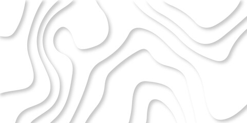Luxury abstract lines Modern white carve wave line abstract luxury 3d papercut background. vector minimal topography map light element shadow landscape wave element curve graphic papercut design.