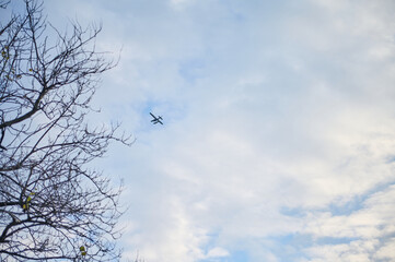 Airplane flying in the clear blue sky above barren winter tree branches