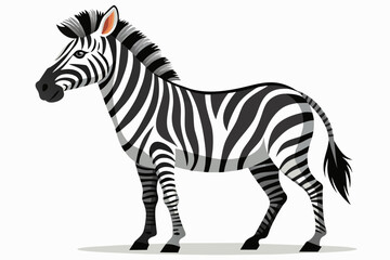 Zebra Vector with White Background,zebra, animal, isolated, mammal, white, black, horse, safari, striped, zoo, wildlife, wild, vector, 