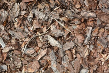 Tree bark mulch for plants scattered on the ground