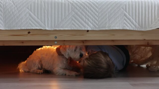 Little preschool child, hiding under the bed with his dog, holding flashlight.