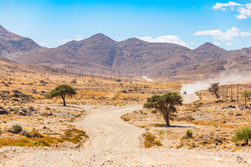 Arid landscape in the Richtersveld National Park