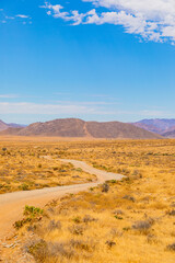Arid landscape in the Richtersveld National Park