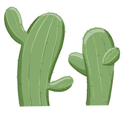 cactus in the desert