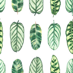 Tropical leaves seamless pattern, jungle green plants. Summer rainforest exotic foliage design Watercolor hand drawn illustration for wallpaper, textiles, wrapping paper, fabric on isolated background