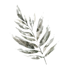 botanical coffee trea leaves seamless elements for pattern watercolor ink art sage grunge vintage style warm beige brown  colors	