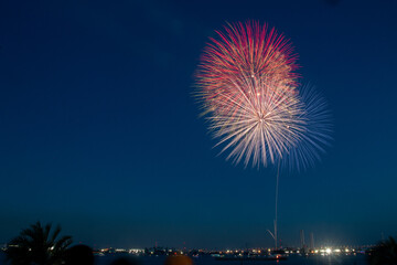 日本の夏の花火