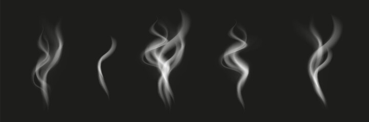 Smoke vector collection. White isolated cigarette smoke. Transparent special effect. Vector illustration.