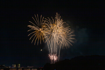 豊橋祇園祭花火大会