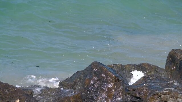 Slow motion video of Ocean waves crashing against dark coastal rocks on a sunny day at the seaside shoreline. The turquoise sea water splashes over jagged dark stones along the coast