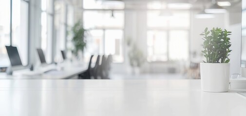 Blurred background of an office with a plant in a pot on a table.
