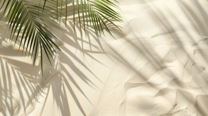 Obraz premium Beach sand background with palm tree shadow for text placement