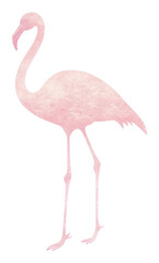 Fototapeta premium PNG Flamingo animal bird white background. 