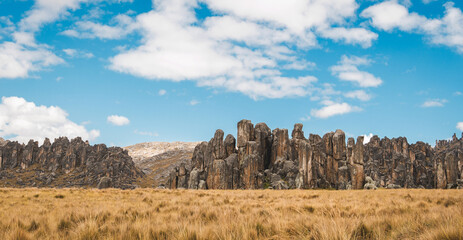 Huayllay Stone Forest, rocks eroded by the wind over the years creating stone figures. Cerro de Pasco. Peru, Panoramic view