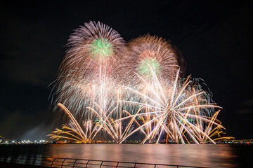 三河地方の花火