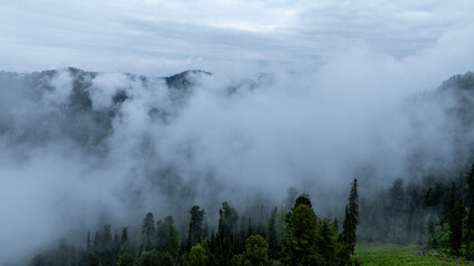 landscape of mountains and pine forest in thick summer fog in the area of ​​Lake Teletskoye in Altai