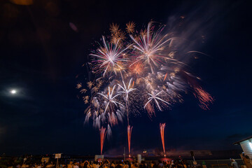 三河地方の花火
