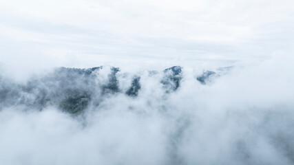landscape of mountains and pine forest in thick summer fog in the area of ​​Lake Teletskoye in Altai
