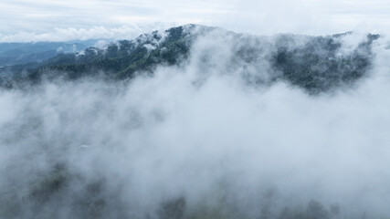 landscape of mountains and pine forest in thick summer fog in the area of ​​Lake Teletskoye in Altai
