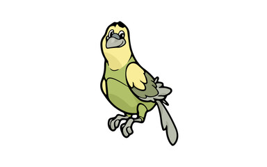 Adult Lovebird Animal RG