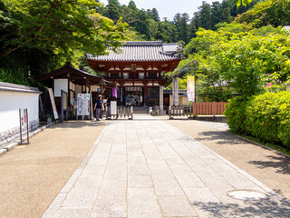 Fototapeta premium 【奈良県】明日香村 岡寺 (2024/06/11撮影)