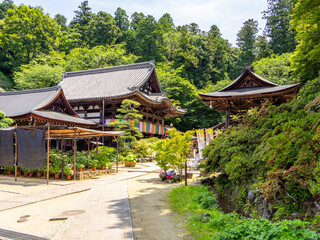 【奈良県】明日香村 岡寺 (2024/06/11撮影)