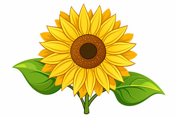 Sunflower Sublimation Vector on White Background,sunflower, flower, isolated, nature, yellow, summer, plant, sun, blossom, leaf, white, beauty, 