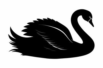 Obraz premium Swan Black Silhouette Vector with White Background,swan, bird, animal, vector, illustration, love, water, symbol, silhouette, duck, nature, lake, swans, art, black, cartoon, drawing, icon, design, 