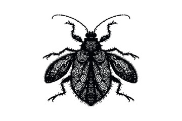 Lace Bug silhouette vector art illustration
