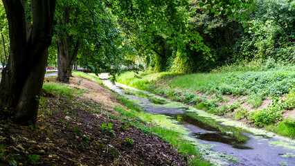 kleiner Bach umgeben von Bäumen in einem Stendaler Park während des Sommers