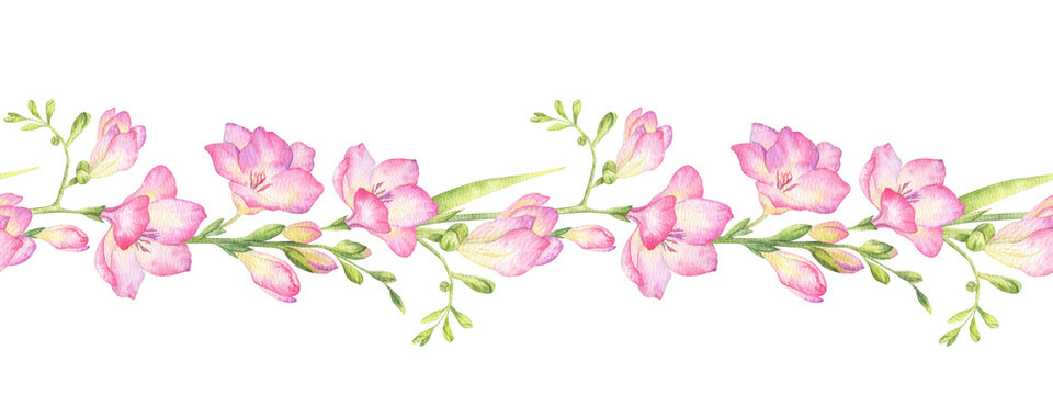 Freesia flowers, buds and leaves. Isolated hand drawn watercolor seamless border of pink wildflowers. Summer floral banner for wedding invitations, cards, packaging of goods