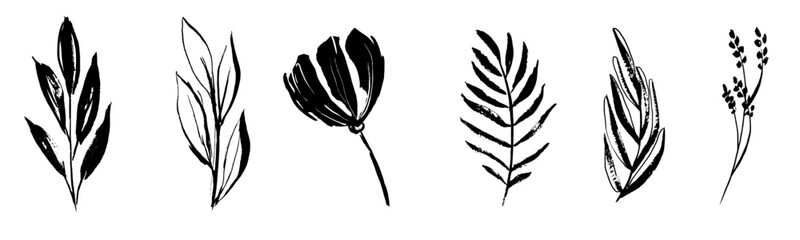 Set of retro branches and leaves. Silhouettes of hand drawn artistic field herbs in black ink. Vintage botanical florals.
