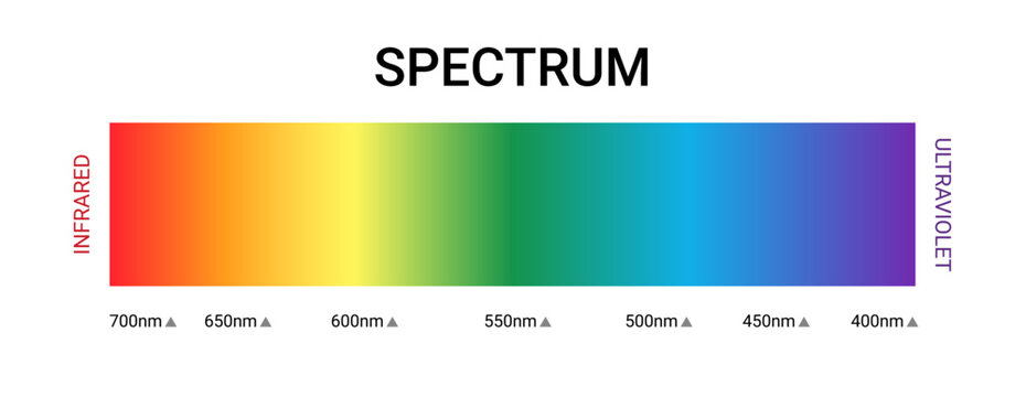 Visible spectrum color wavelength uv gamma vector illustration. Visible light spectrum science diagram.