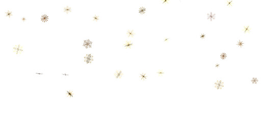 Snowflake Whirlwind: Exquisite 3D Illustration of Descending Christmas Snowflakes in Motion