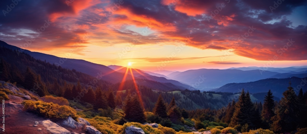 Aufkleber sunset mountain sky with trees and clouds. creative banner. copyspace image