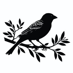 bird vector silhouette illustration